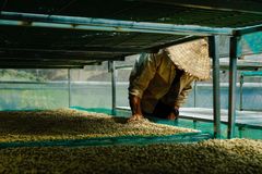 Company – thumbnail 10 of 11, supplier detail gallery