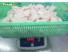 Pangasius Cube - Image 3