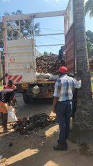 Coconut Shell Buying Leads, Buyers & Importers - Image 4