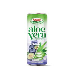 Naturally Sweet Aloe Vera Blueberry Drink - Image 1
