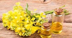 Refined Canola Oil - Image 2
