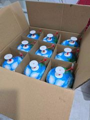 Tropical Fresh Coconut – Premium Natural Drink with Exotic Design - Image 2