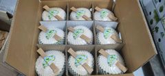 Tropical Fresh Coconut – Premium Natural Drink with Exotic Design - Image 4