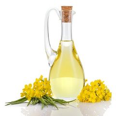 TOP QUALITY REFINED CANOLA OIL - Image 4