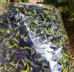 butterfly pea flowers and powder - Image 2