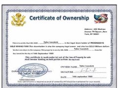 certificate of ownership  certificate from progressive gold mining 
