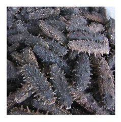 Cheap Wholesale Top Quality Dried Sea Cucumber (Seafood) In Bulk - Image 6