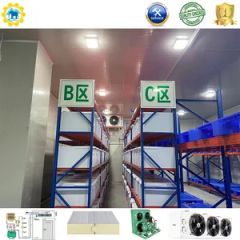 Customizable Freezer Cold Room with 75mm Panel Thickness and Storage - Image 4