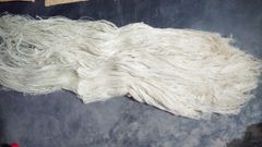 Pineapple Fiber - Image 5