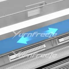 IQF Quick Freezing Equipment 440V 10-150kw 200-6000kgH SUS304 1Y ISO CE - Image 6