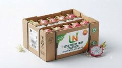Fresh Dragon Fruits - Image 1