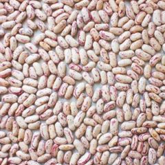 White red speckled Sugar Beans - Image 1