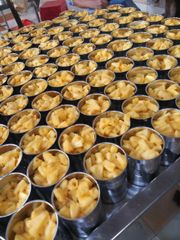 Vietnam Trung Thanh Canned Pineapple in Light Syrup 565g 850g A10 shelf life 36 months OEM - Image 4