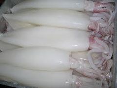 FROZEN SQUID T&T Size 60/up Packaging 800G Shelf Life 2 YEARS Packing Options 15kg Bulk, Custom Pricing Offered Nwnc, Nwfc, Fwnc, Fwfc - Image 1