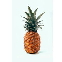 FRESH PINEAPPLE FRUIT/ Ananas comosus/ Fresh Pineapple Style Fresh Type Pineapple Address AFRICA Content PROTEIN Shelf Life 3 - Image 3