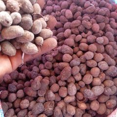 Shea nuts - Image 1