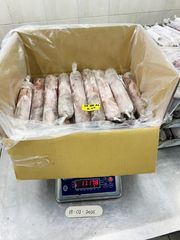Squid Loligo IQF, IWP Type Frozen Grade Premium Shape Whole Round Processing Type IQF Content 100% Net Weight Place of Origin - Image 2