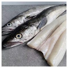 Manufacturer hot sale new product frozen hake fish fillet hake. - Image 5