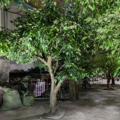 10FT Artificial Trees for Indoor Decorative Suitable for Public Producing Time 7-15 Days Shipping by Express/by Air/by Sea/by Train - Image 5