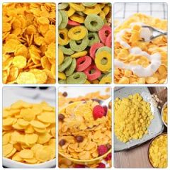 Industrial Corn Flake Extruder Automatic Small Puffing Breakfast Cereal Chip Making Machine - Image 6