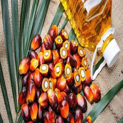 Wholesale Organic Food Grade Refined Palm Oil Re-Processed Fractionated High Purity 100% Cooking Oil 24 Months Shelf Life – product photo 5, product detail gallery