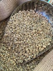 Arabica Coffee Beans – Premium Grade for sell at affordable rates  – product photo 4, product detail gallery