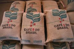 Brazilian Arabica Green Coffee Exporter – Available Stock – Tailored Quality – FOB Santos, Brazil - Image 1