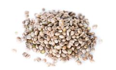 Hemp protein - Image 1