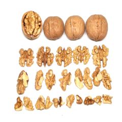 Chinese Traditional Walnut Kernels Tasted Sweet Nuts Walnut Nutmeats - Image 4