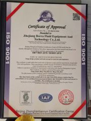 ISO9001 certificate from Borra Technology Co., Ltd.