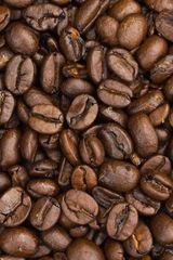 Premium Coffee Beans – Arabica & Robusta Varieties, Export Quality – product photo 2, product detail gallery