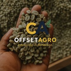 ARABICA COFFEE - Image 3