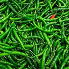Premium Fresh Green Chilli from India – Export Quality - Image 1
