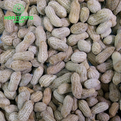 Frozen Steamed Peanut - Image 1