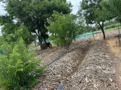 Manures & Fertilizers – product photo 1, product detail gallery
