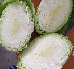 wholesale fresh cabbage Vietnam – product photo 3, product detail gallery