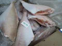Frozen Leather Jacket Fish HGT (Headless, Gutted & Tail-Off) | Supplier & Exporter India | Bulk Wholesale Seafood – product photo 2, product detail gallery