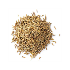 Wholesale Cumin Seed available bulk authentic seasoning for diverse cuisines - Image 4
