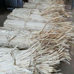 Corypha Palm Leaves - Dried Material from Vietnam for Traditional Handicrafts - Image 5