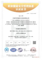ISO 45001 certificate certificate from Tianjin Logan Kexing Technology Co., Ltd.