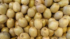 FRESH PREMIUM KIWIFRUIT FROM SOUTH AFRICA! CLASS 1 QUALITY! NEW CROPS EXCELLENT PACKING - Image 3
