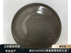 Low Dust Raney Nickel Catalyst 99% Purity CAS7440020 MOQ100 1Y 1453C 2732C China - Jiangsu Renyi Metal Technology Co., Ltd