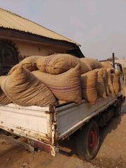 Raw Cashew Nuts - Image 3