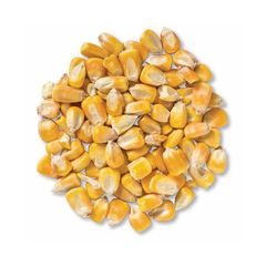Bulk supply white corn premium quality maize export ready packaging - Image 3