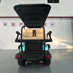 Cheap Custom Golf Cart Electric Golf Buggy Golf Equipment Seats 3-4 OEM Support Origin China Power 600-1700W Model NO. WT 2+2 - Image 5