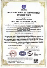 ISO 45001 0 certificate from Shandong Guheng New Material Co., Ltd.