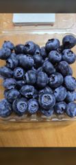 blueberry - Image 1