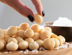 Fresh Macadamia Kernels With Creamy Taste Smooth Texture Ideal For Snacks Baking Confectionery Recipes - Image 1