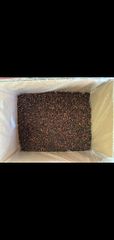Cloves AB6 lalpari - Image 2