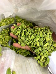 Cardamom